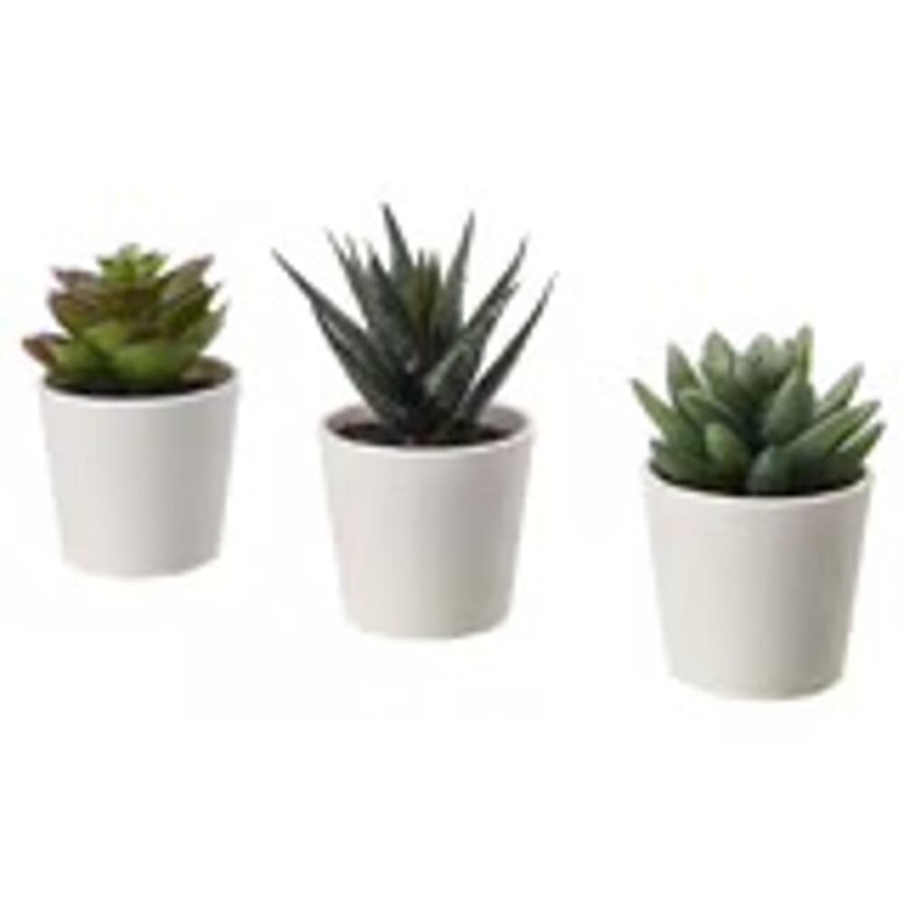 FEJKA Artificial Succulents: Your Effortless Mini Garden No Fuss Decor